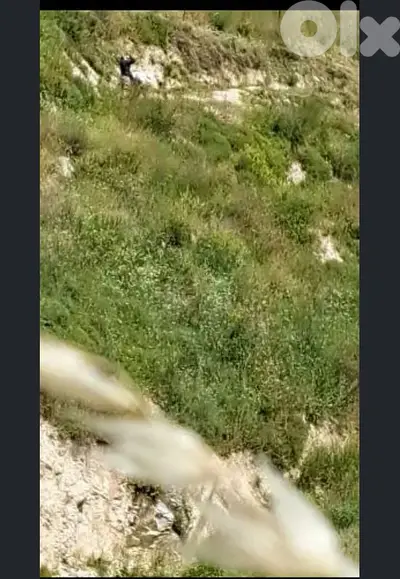 ارض للبيع في عيتا الفخار البقاع الغربي land for sale in beqaa