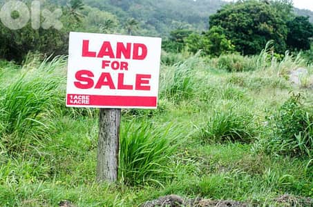 Land for sale in Ain Saade ارض للبيع في عين سعادة