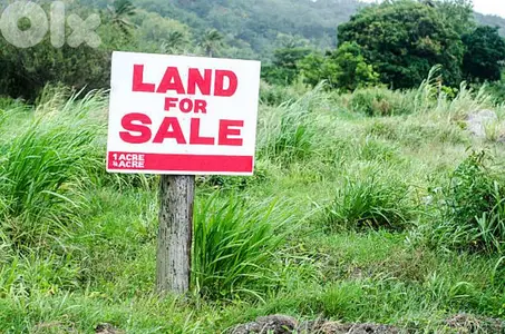 Land for sale in Ain Saade ارض للبيع في عين سعادة