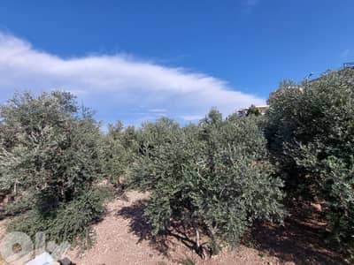 RWB148RH - Land for sale in Chekka Batroun