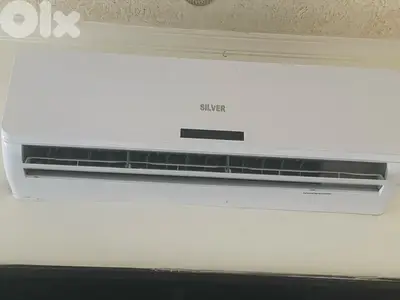 AC SILVER 24000 non invertor
