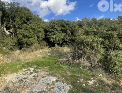 RWK548CA - 1100 SQM  Land For Sale In Adma - أرض للبيع في أدما