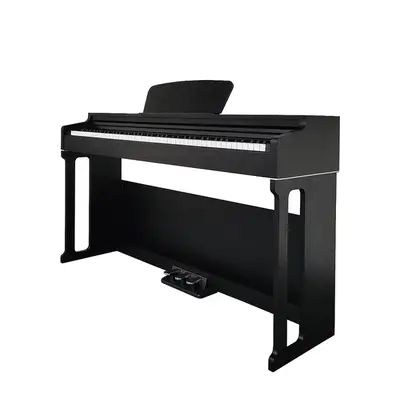 Ara Digital Keyboard Piano Portable 88 Keys with Hammer Action Ara Digital Keyboard Piano Portable 88 Keys with Hammer Action