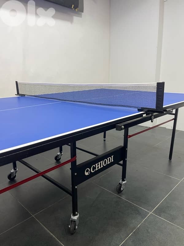 Ping Pong Indoor Chiodi +2 free rackets 3