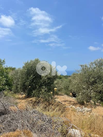 RWB201CA - Land for sale in Jeddayel Jbeil