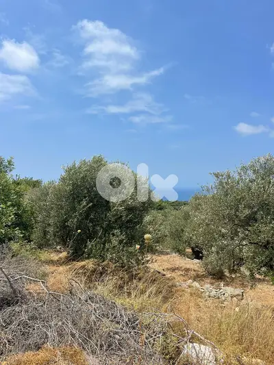 RWB201CA - Land for sale in Jeddayel Jbeil