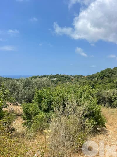 RWB201CA - Land for sale in Jeddayel Jbeil