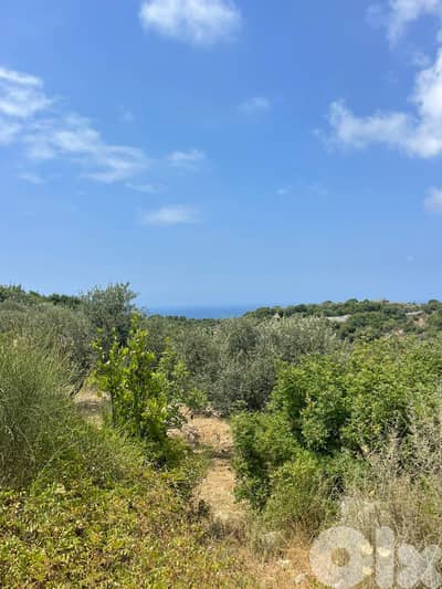 RWB201CA - Land for sale in Jeddayel Jbeil