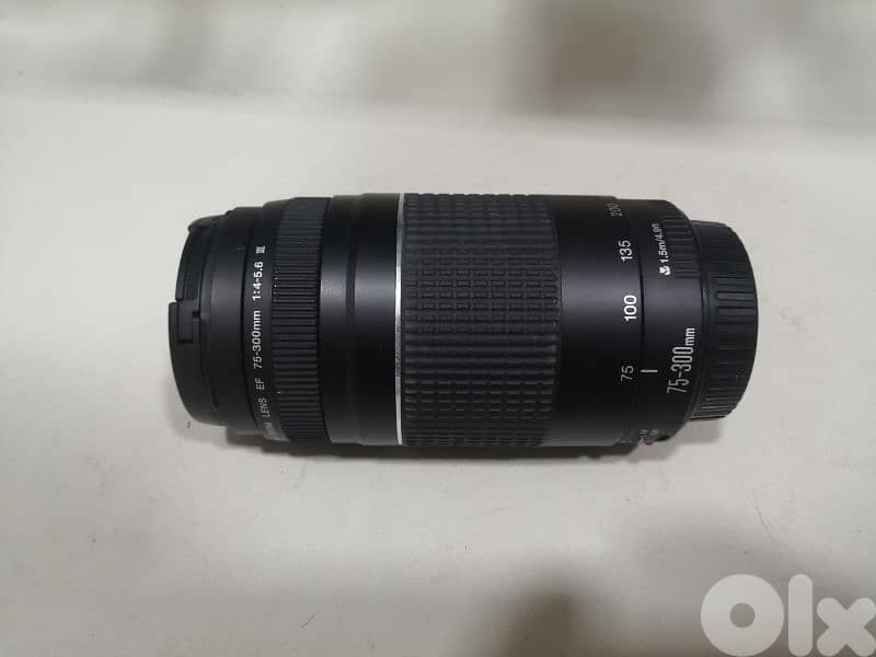 lens Canon 75_300mm 0