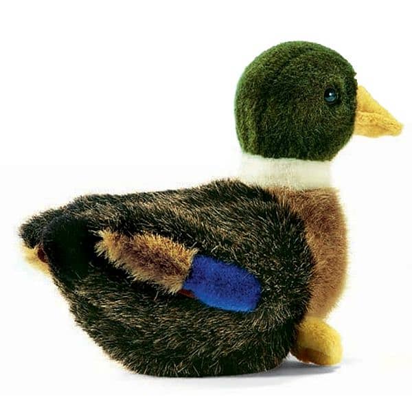Huge Collection Of Plush Toys ! 4
