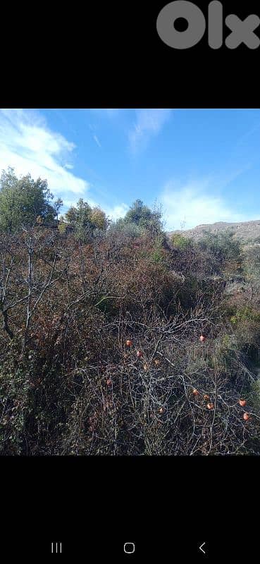 ارض للبيع في نبع الصفا الشوف land for sale in shouf