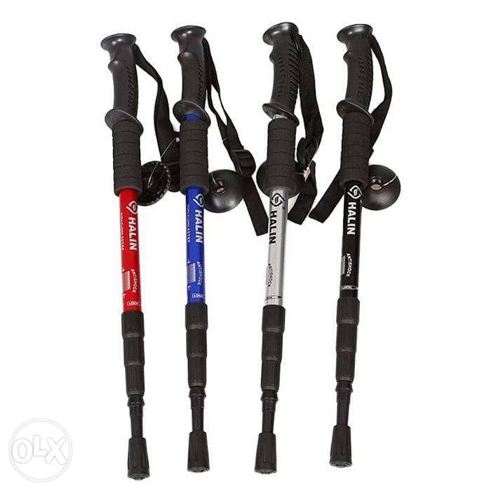 hiking sticks at the best price 0