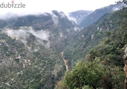 Land for sale in Tarchich ارض للبيع في ترشيش