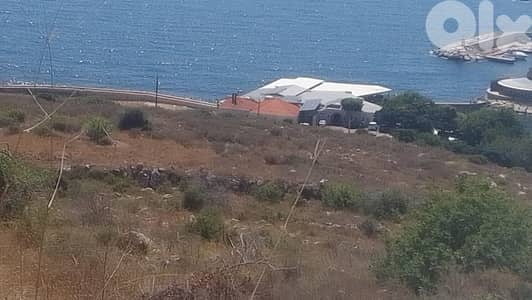 land for sale in adma أرض للبيع في ادما