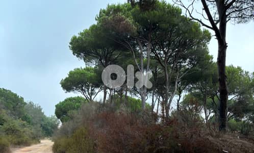 Land for sale in Broumana/  Seaview & Beirut View