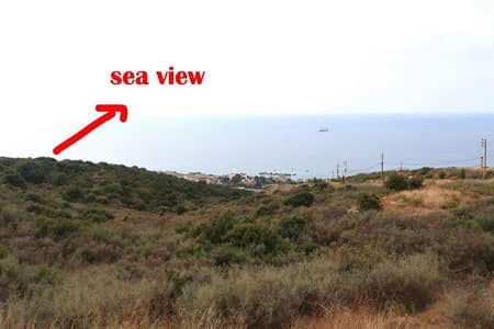 land for sale in kfarabida أرض للبيع في كفرعبيدا