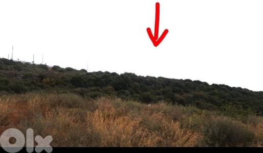 land for sale in kfarabida أرض للبيع في كفرعبيدا