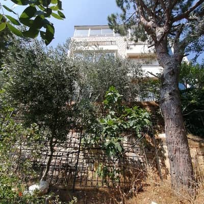 Villa for sale in Ain Saadeh  فيلا للبيع في عين سعادة