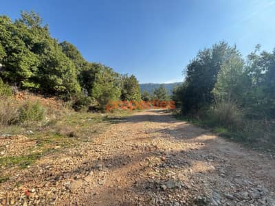 Land For Sale In Blat CPJRK245