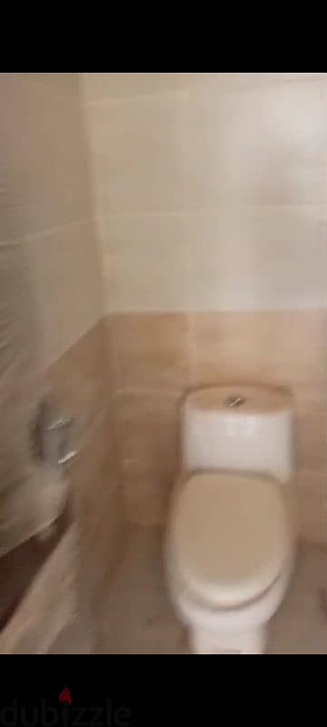 appartment for rent