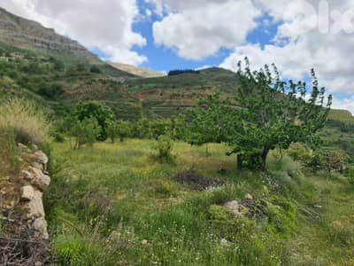land for sale in tannourine أرض للبيع في تنورين