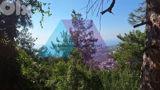Land + Mountain/Sea View for sale in Nabey  -  أرض للبيع في ناباي