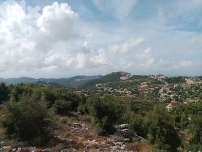 ارض للبيع في جبيل مشمش land for sale in jbeil