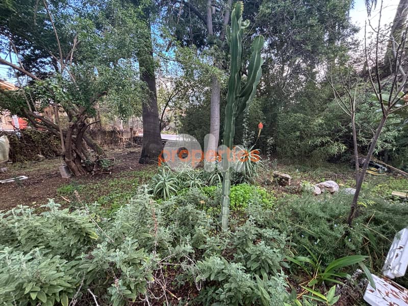 Land For Sale in Aamchit With Old House أرض للبيع في عمشيت CPJRK246 0