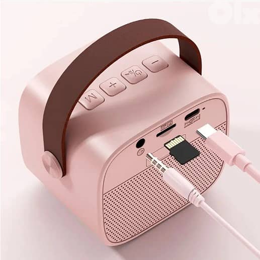 NewRixing BD-108 Wireless Karaoke Speaker with memory reader 1