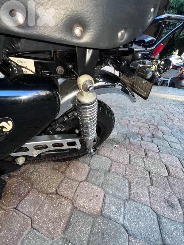 Honda Monkey z 50 Fi injection 12