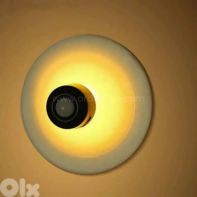 Motion Sensor Wall Lamp LED Night Light for Closet, Stairs & Halls 0