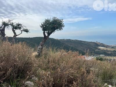 Land in Hboub for sale/ Amazing View