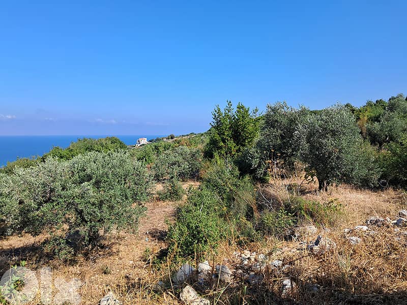 SUPER CATCH LAND IN JBEIL PRIME LOCATION!! (1000Sq) SEA VIEW, (JB-324) 0