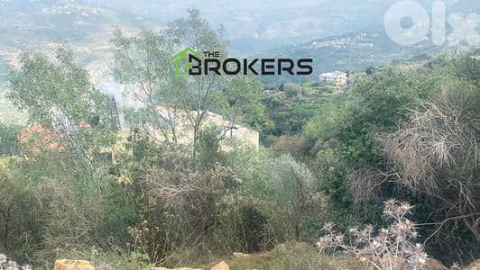 Land for Sale in Abadiyeh   أرض للبيع في العبادية