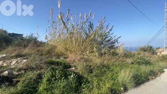 RWB204CA - Prime location land for sale in Halat Jbeil