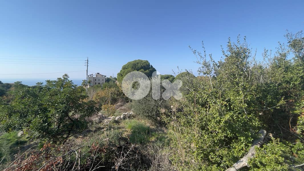RWB205CA - Land for sale in Chikhane Jbeil 3
