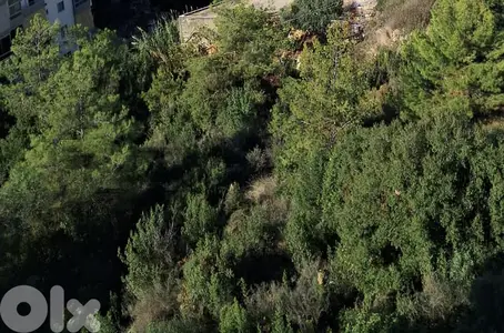 RWK555CA - 1156 SQM Amazing Land For Sale In Adma