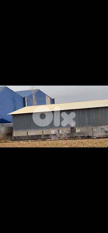 hongar for rent in taaneyel هنغار للايجار في تعنايل صناعي