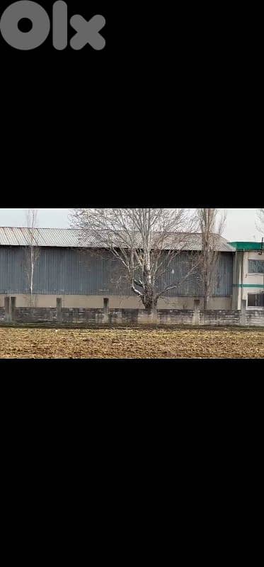 hongar for rent in taaneyel هنغار للايجار في تعنايل صناعي