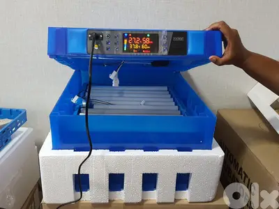 incubator 128 eggs