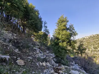Land for sale in Mechmech 1500m²