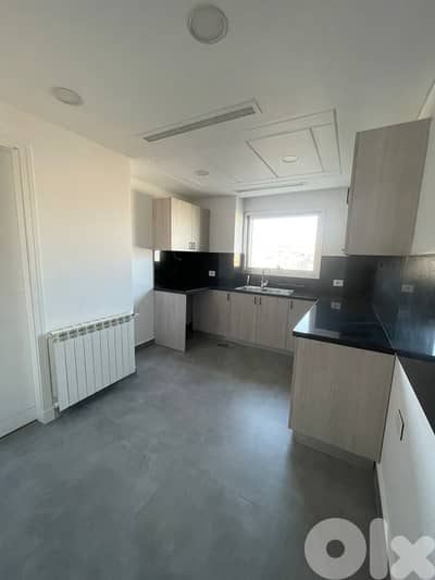SPACIOUS APARTMENT IN DOWNTOWN PRIME (230SQ) GYM , POOL , (BT-1032)
