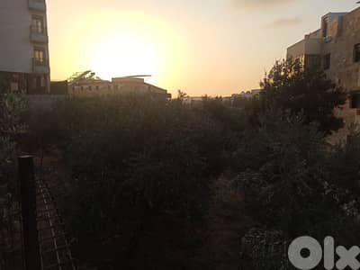 2 lands for sale in zekrit ٢ اراضي للبيع في زكريت