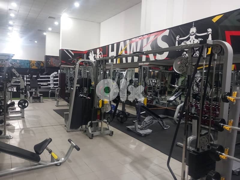 treadmills and Gym Equipment 6