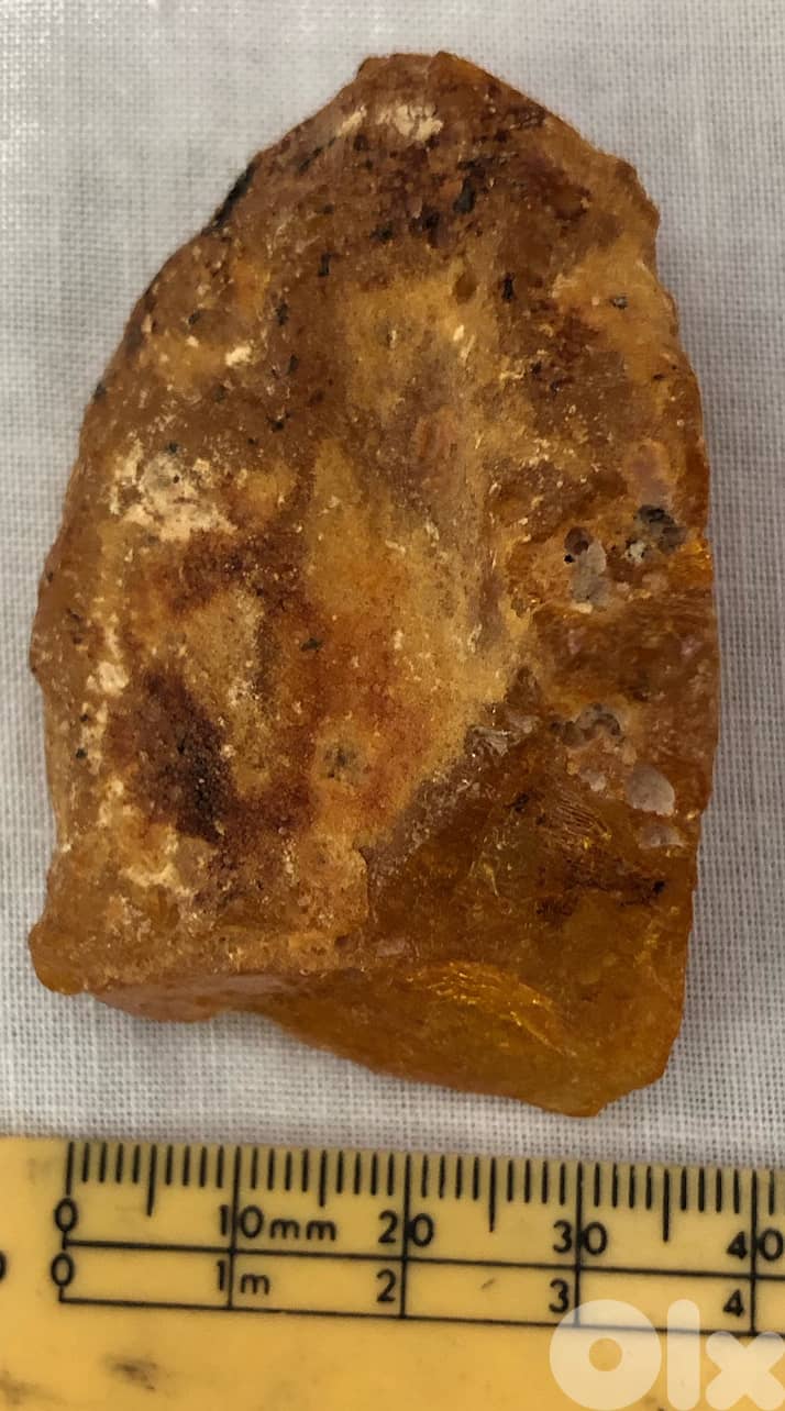 Raw Amber Stone Natural Baltic amber stone gemstone. See size picture 2