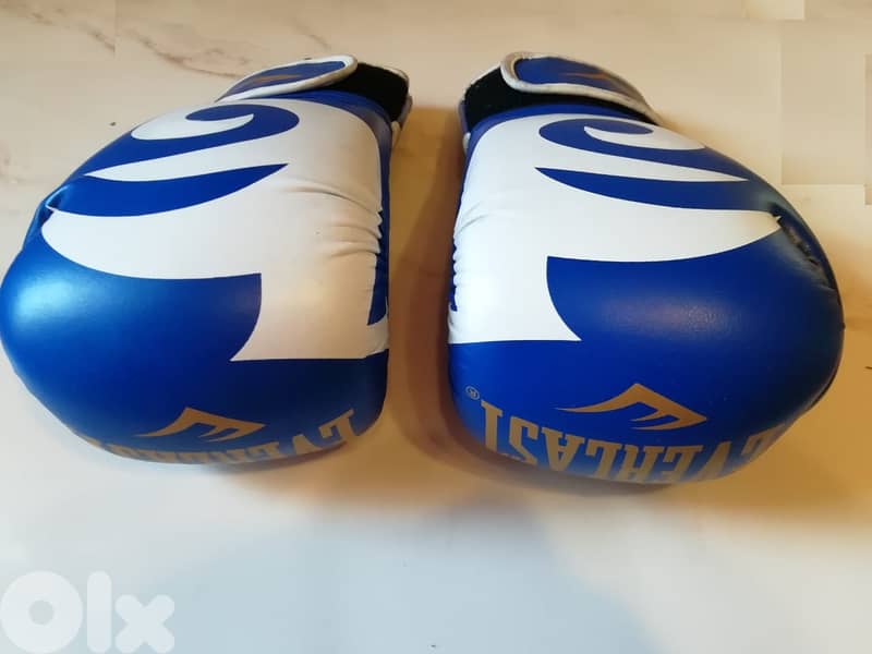 Boxing Everlast gloves made in Pakistan 0