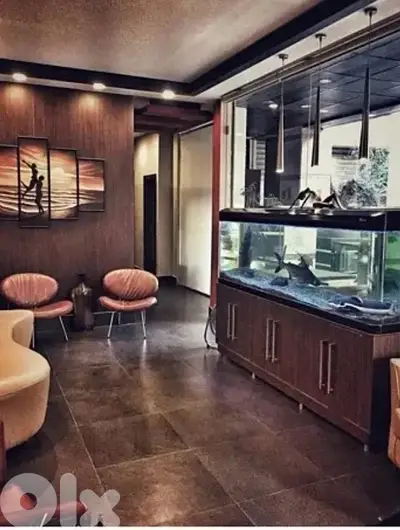 Aquarium custom made (fish tank + closet) Respectful buyers only