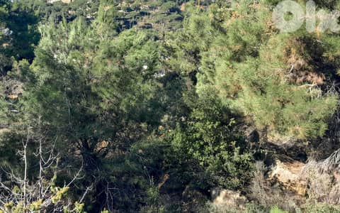 1000 SQM Land in Mar Moussa, Metn overlooking the Mountains