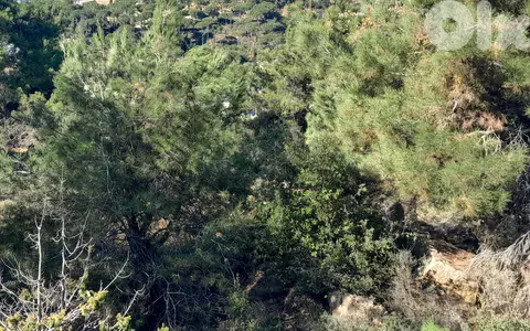 1000 SQM Land in Mar Moussa, Metn overlooking the Mountains