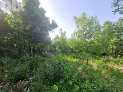 RWB126RH - Land for sale in Batroun أرض للبيع في البترون